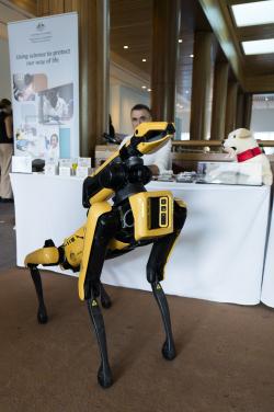 Spot, the biosecurity robot. 