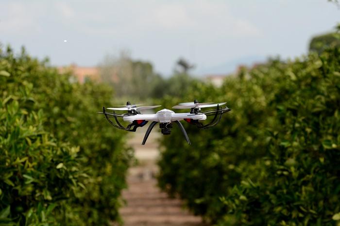 Artificial intelligence using drones is set to play an increasing role in farming.